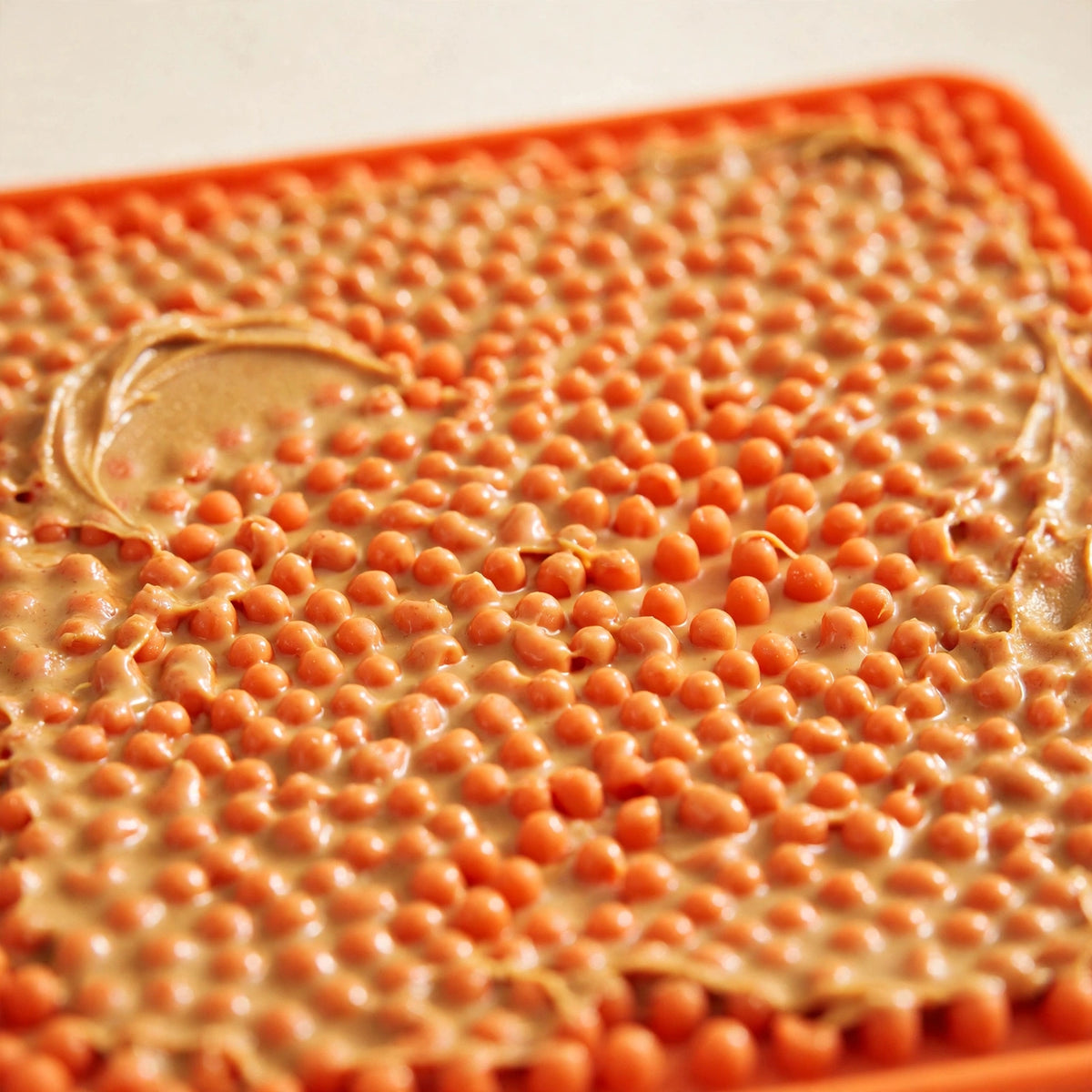 Licky Moments Silicone Lick Mat for Dogs