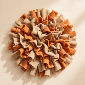 Forage Fun Snuffle Mat for Dogs