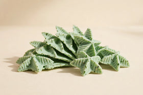 Minty Grin Veggie Dental Chews for Dogs