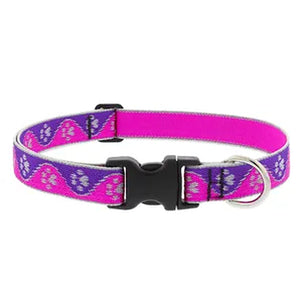 Reflective Dog Collar – High-Visibility Safety Collar for Night Walks