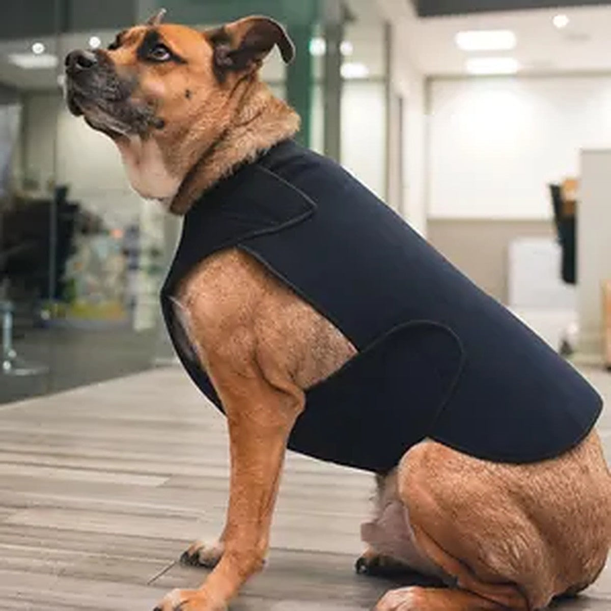Therapeutic Anxiety Body Wrap for Dogs – Calming Pressure Wrap (Healers)