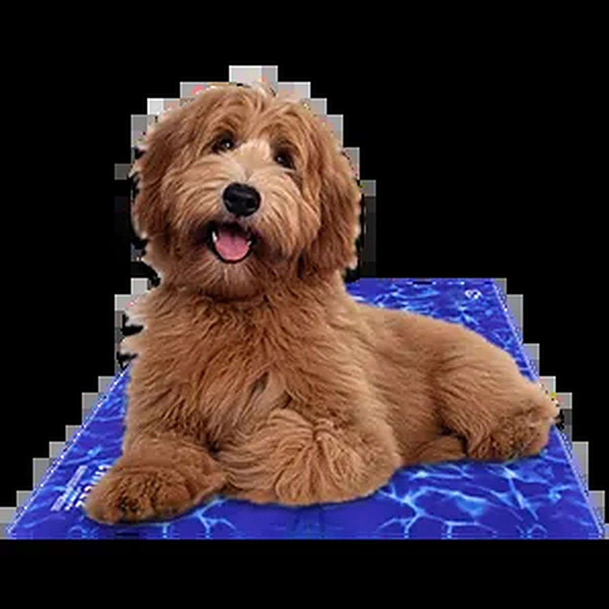Chill Pad Dog Cooling Mat – Pressure-Activated Gel Cooling Pad for Dogs & Cats