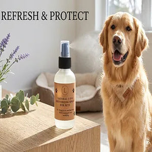 Deodorizing Pet Spray for Dogs – Fresh-Scent Coat Refresher Between Baths