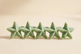 Minty Grin Veggie Dental Chews for Dogs
