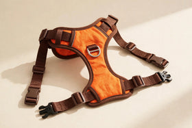 Easy Walk No-Pull Dog Harness (Front-Clip)