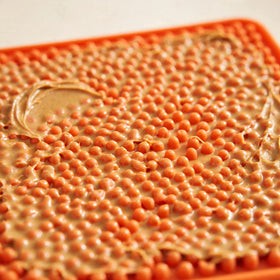 Licky Moments Silicone Lick Mat for Dogs