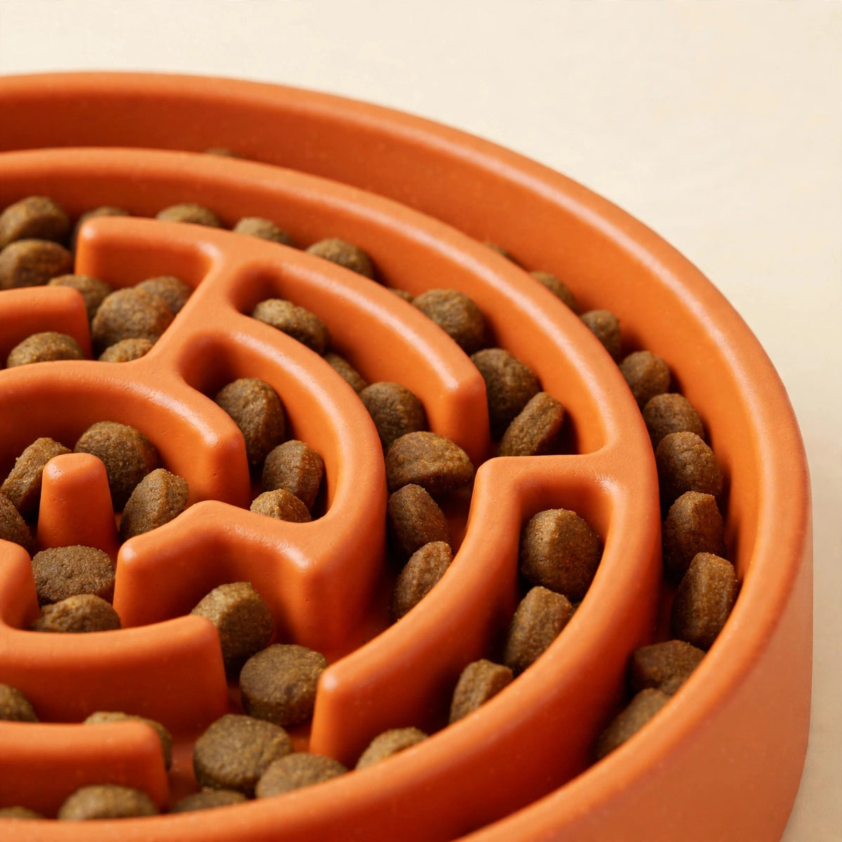 Maze Munch Slow Feeder Dog Bowl