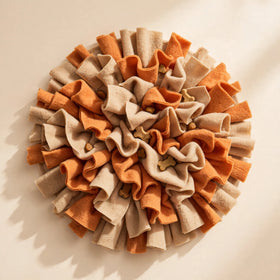 Forage Fun Snuffle Mat for Dogs